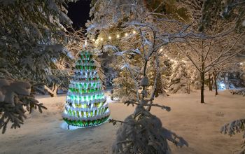 Зима Ночь Бутылочная елка
